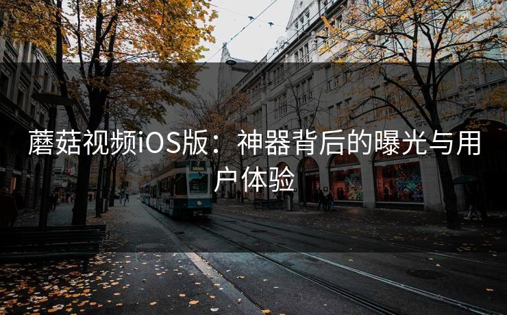 蘑菇视频iOS版：神器背后的曝光与用户体验  第1张