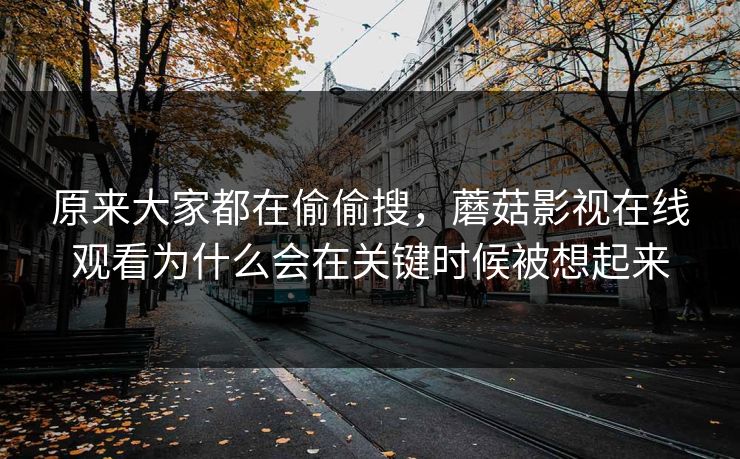 原来大家都在偷偷搜，蘑菇影视在线观看为什么会在关键时候被想起来  第1张
