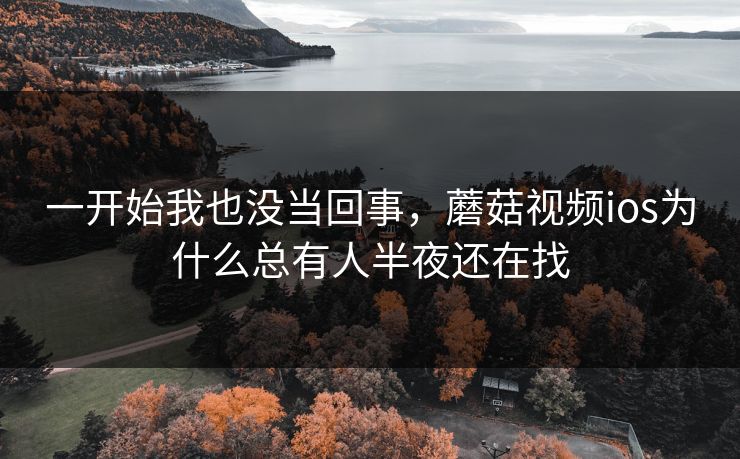 一开始我也没当回事，蘑菇视频ios为什么总有人半夜还在找  第1张