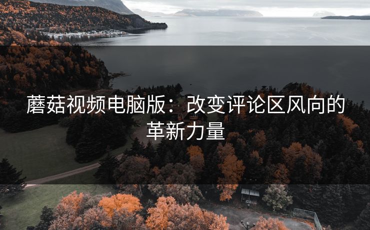 蘑菇视频电脑版：改变评论区风向的革新力量  第1张