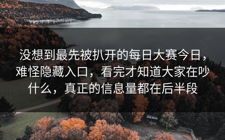 没想到最先被扒开的每日大赛今日，难怪隐藏入口，看完才知道大家在吵什么，真正的信息量都在后半段