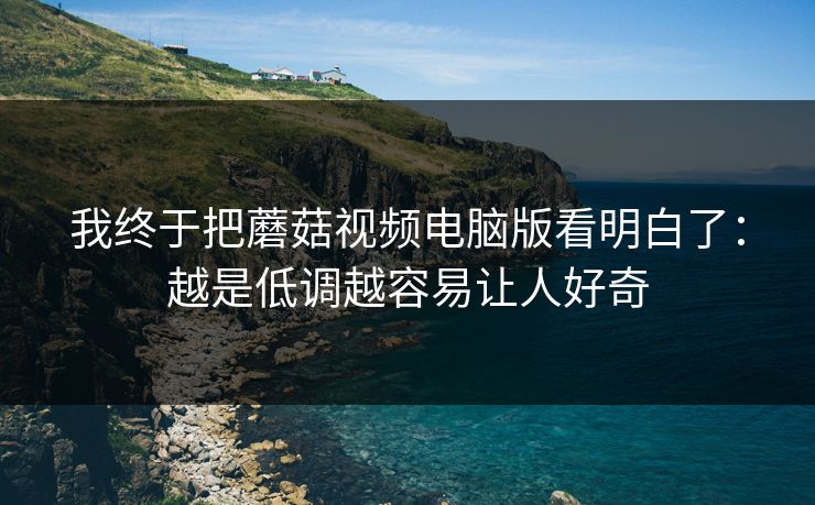 我终于把蘑菇视频电脑版看明白了：越是低调越容易让人好奇  第1张