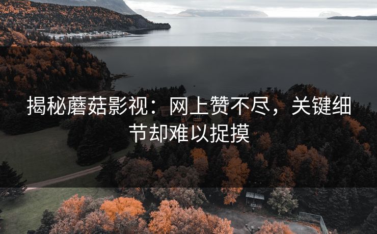 揭秘蘑菇影视：网上赞不尽，关键细节却难以捉摸  第1张