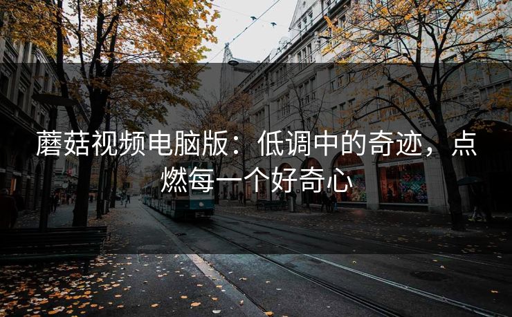 蘑菇视频电脑版：低调中的奇迹，点燃每一个好奇心
