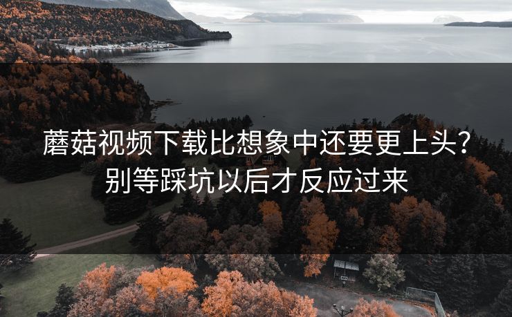 蘑菇视频下载比想象中还要更上头?别等踩坑以后才反应过来 第1张 蘑菇视频下载比想象中还要更上头?别等踩坑以后才反应过来 第1张